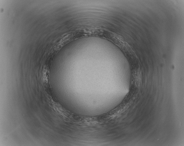 X0000083650770200702261115