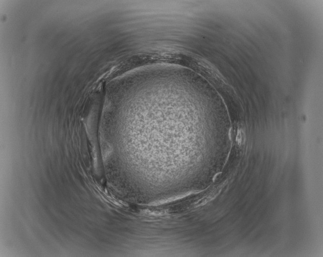 X0000083650771200702261115