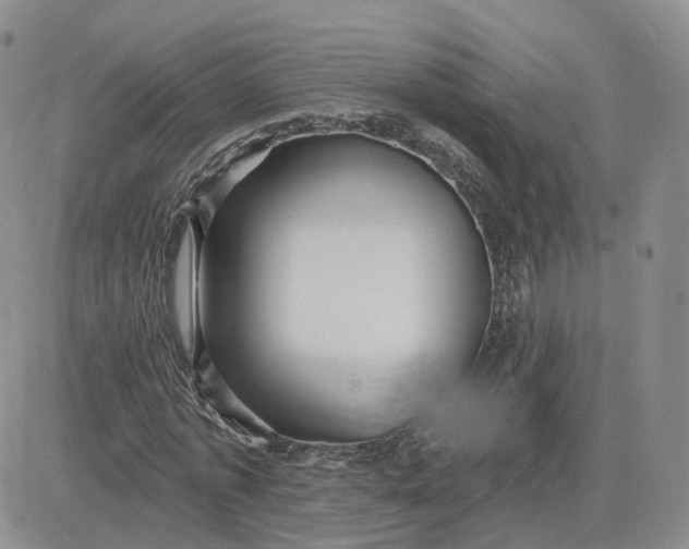 X0000083650773200702261115