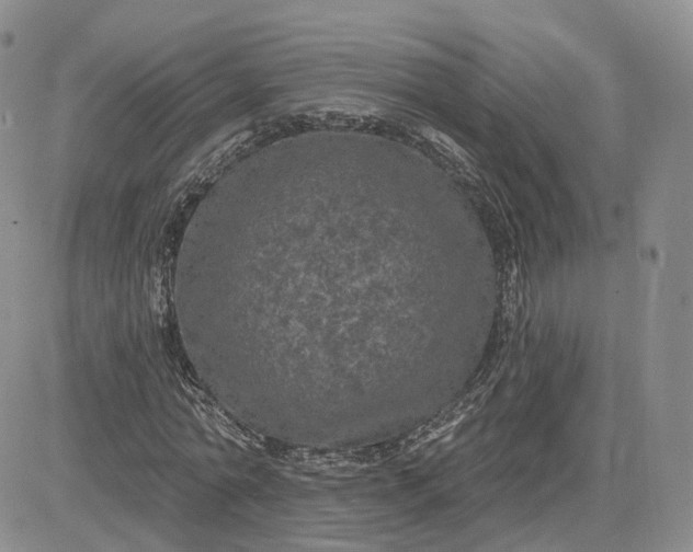 X0000083650774200702261115