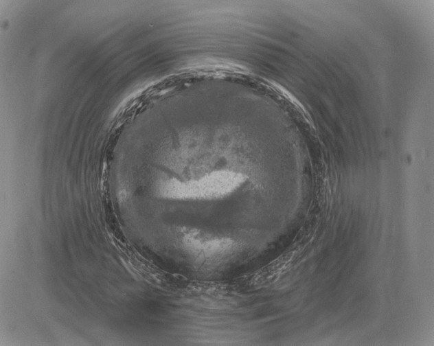 X0000083650775200702261115