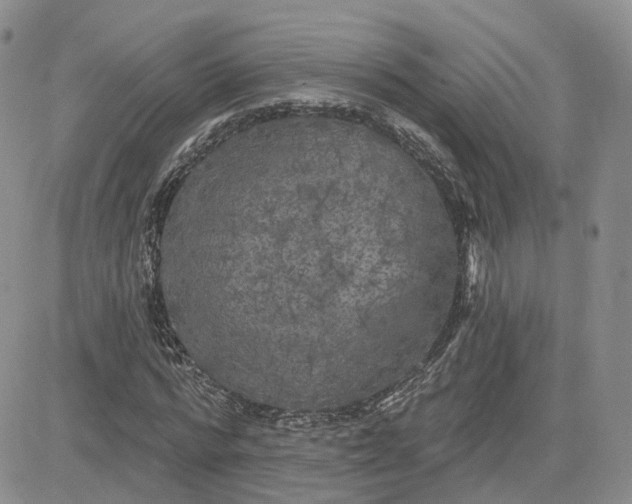 X0000083650776200702261115