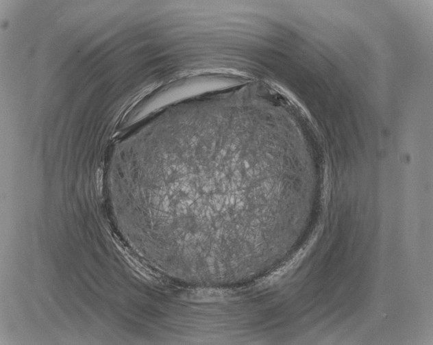 X0000083650777200702261115