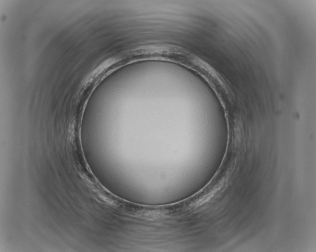 X0000083650778200702261115