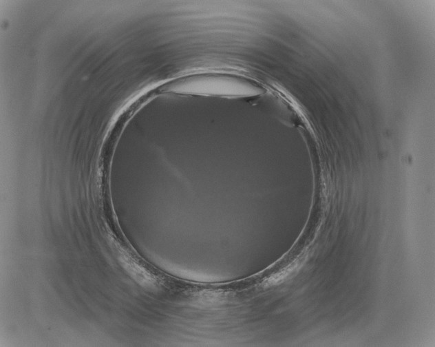 X0000083650779200702261115