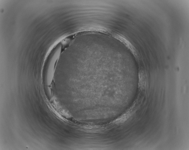 X0000083650780200702261115