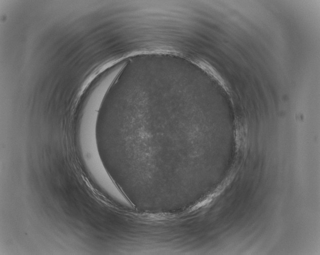 X0000083650781200702261115