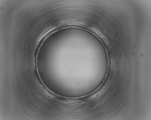 X0000083650782200702261115