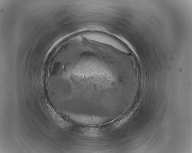 X0000083650783200702261115