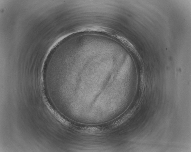 X0000083650784200702261115