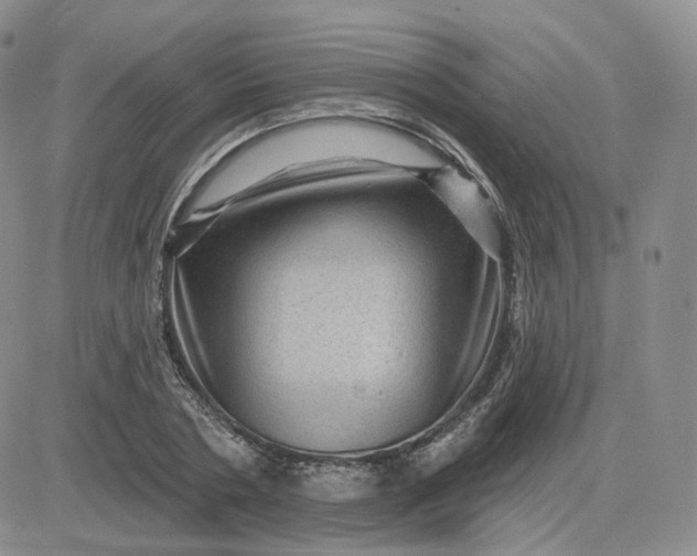 X0000083650786200702261115