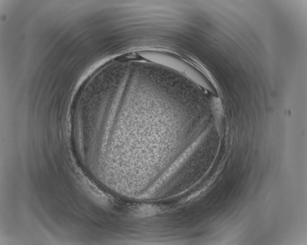 X0000083650787200702261115