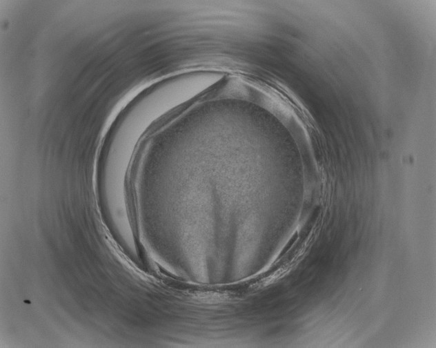 X0000083650788200702261115