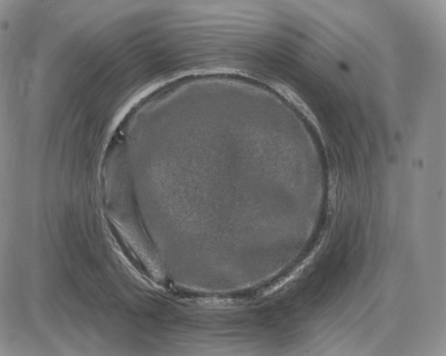 X0000083650789200702261115