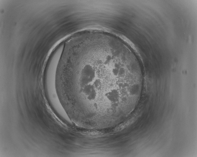 X0000083650791200702261115