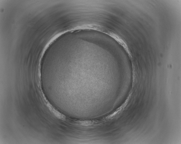 X0000083650792200702261115