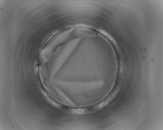 X0000083650793200702261115