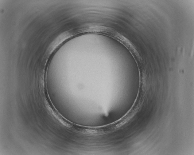 X0000083650794200702261115