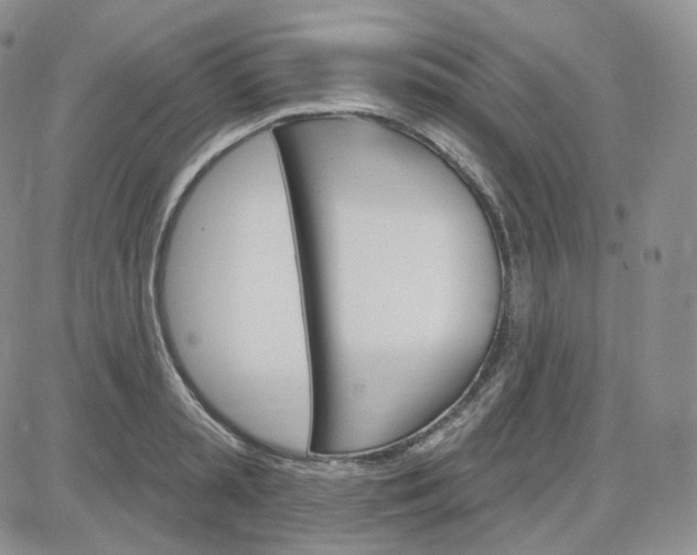 X0000083650797200702261115