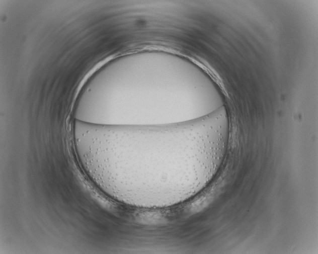 X0000083650798200702261115