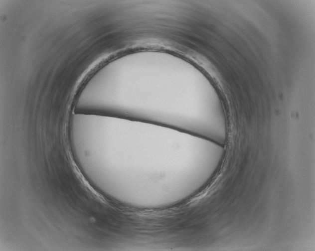 X0000083650799200702261115