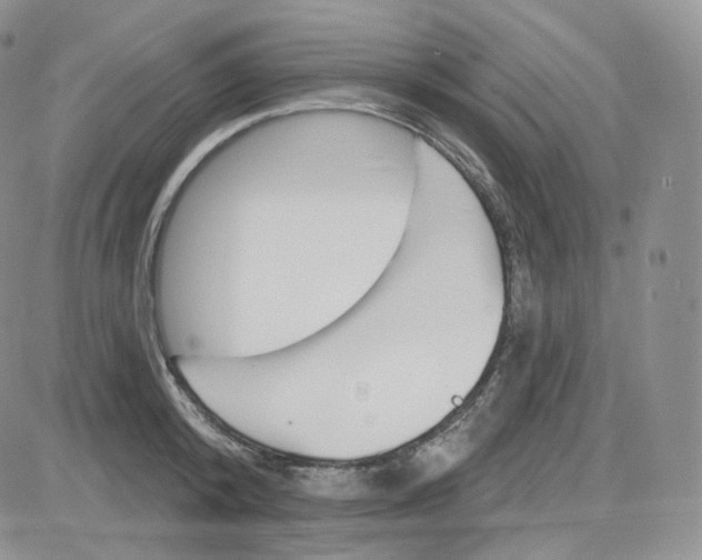 X0000083650800200702261115