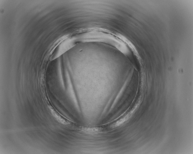 X0000083650801200702261115