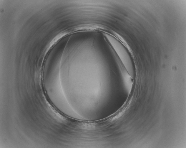 X0000083650802200702261115