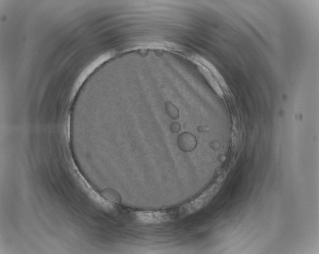 X0000083650804200702261115