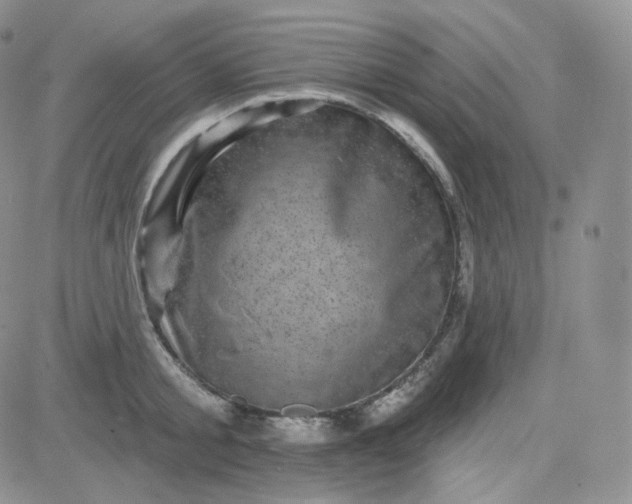 X0000083650805200702261114