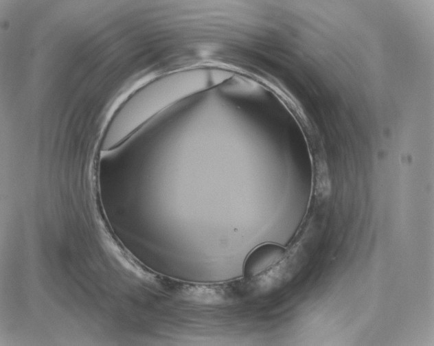 X0000083650806200702261114