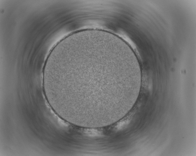 X0000083650807200702261114