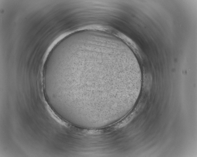 X0000083650808200702261114