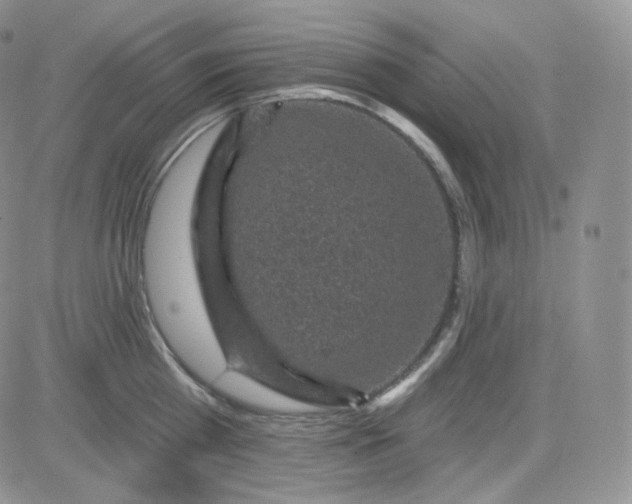 X0000083650809200702261114