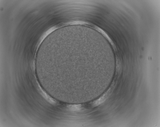 X0000083650810200702261114