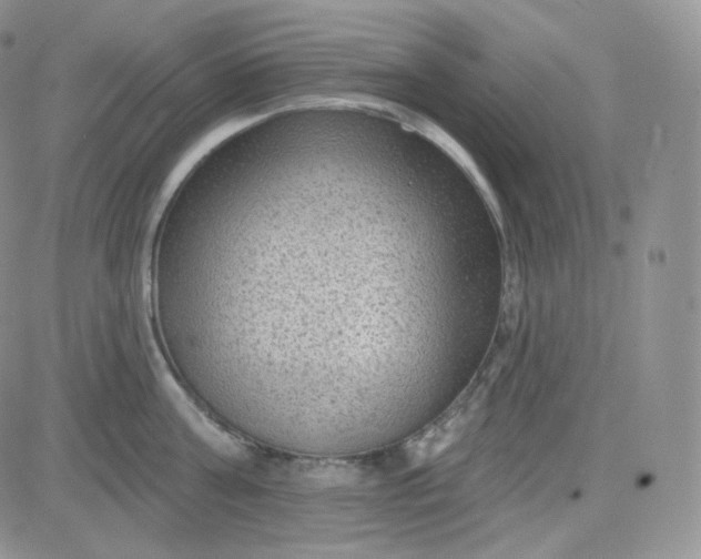 X0000083650811200702261114