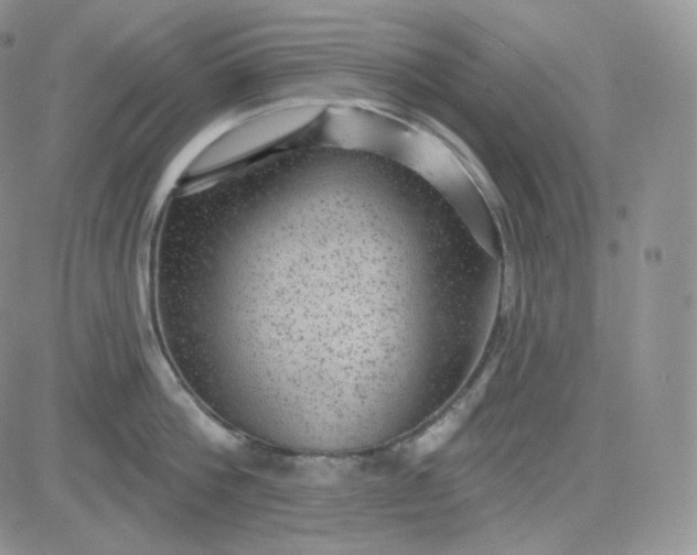 X0000083650812200702261114