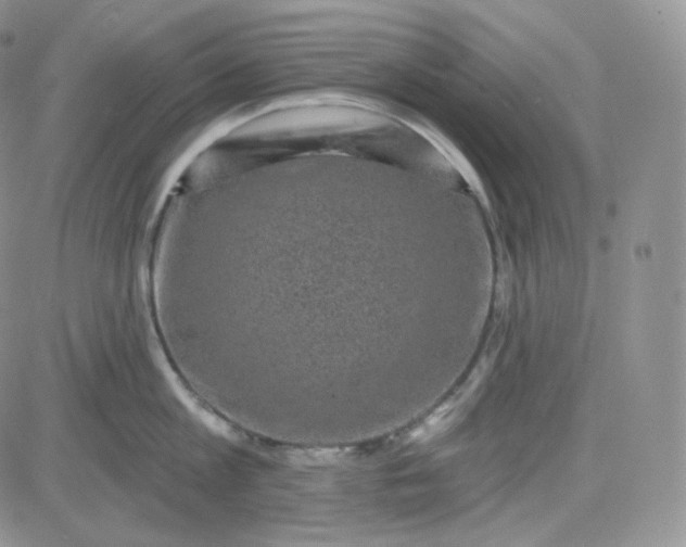 X0000083650813200702261114