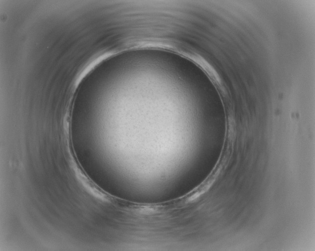 X0000083650814200702261114