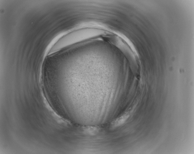 X0000083650815200702261114