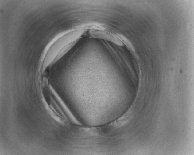 X0000083650816200702261114