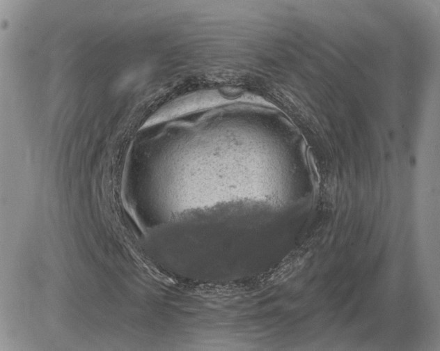 X0000083650817200702261114