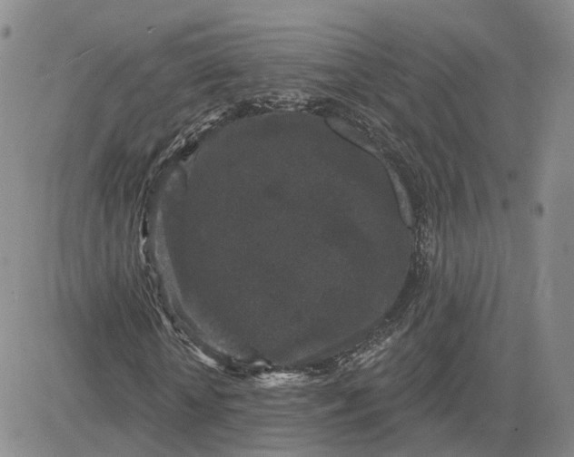 X0000083650818200702261114