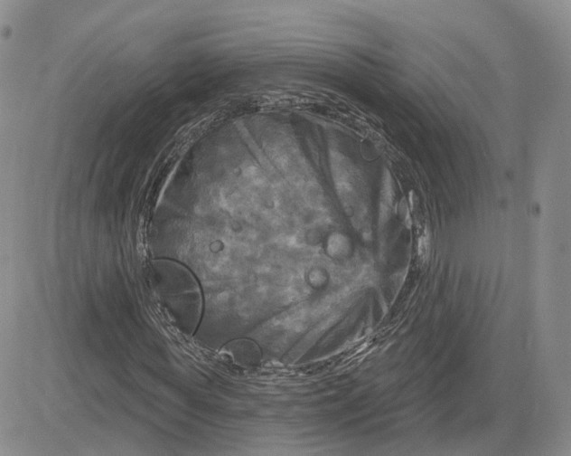 X0000083650819200702261114