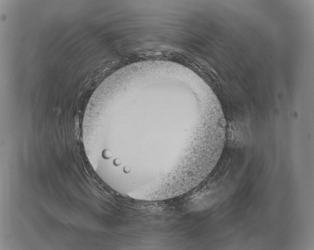 X0000083650820200702261114