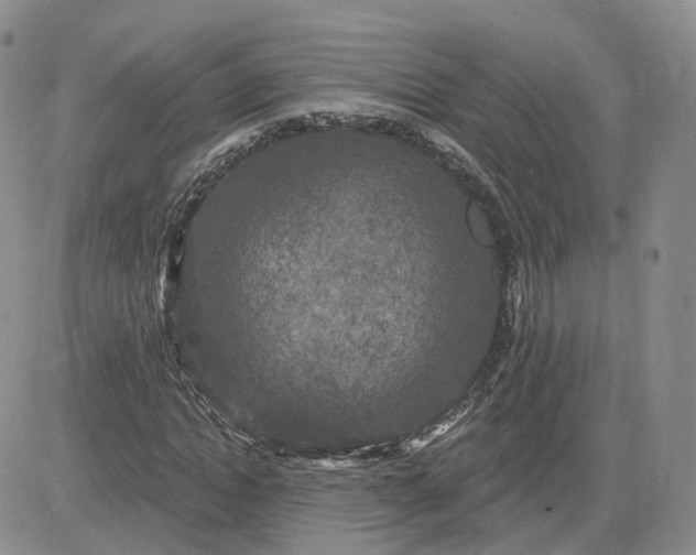 X0000083650822200702261114