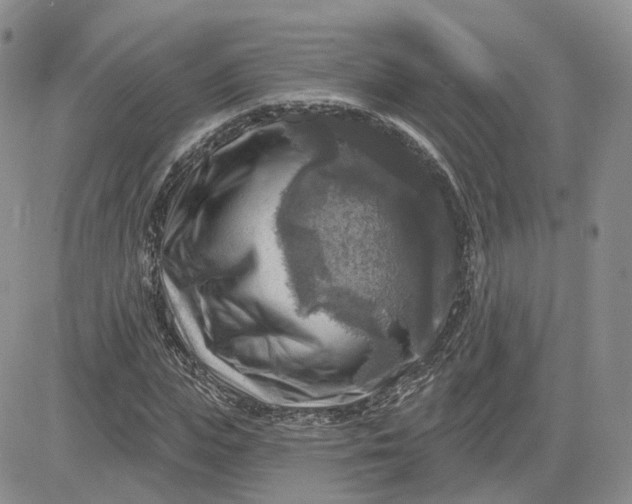 X0000083650823200702261114