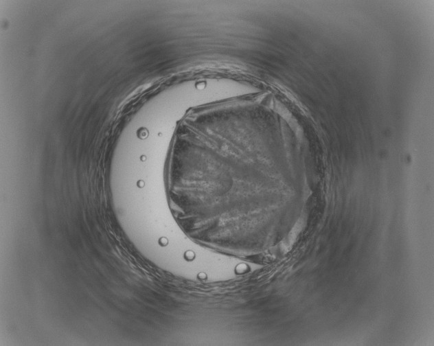 X0000083650824200702261114