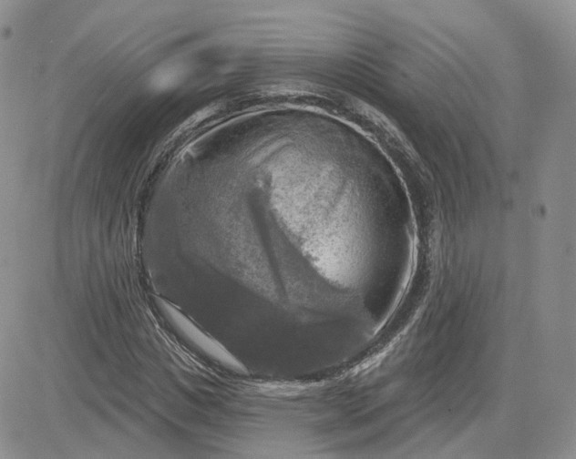 X0000083650825200702261114