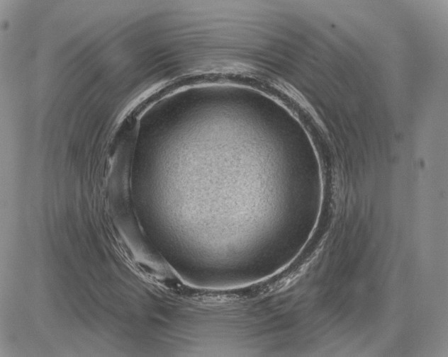 X0000083650826200702261114